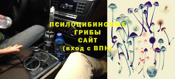 СК Володарск